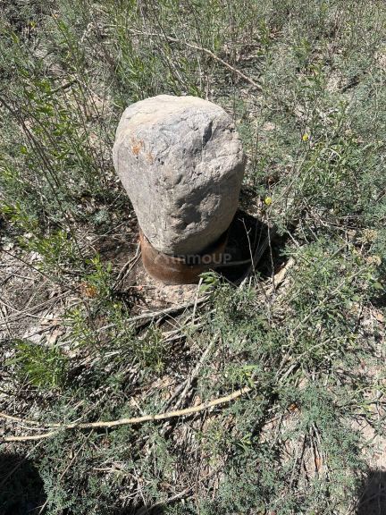 Finca en Venta en Lavalle, Mendoza