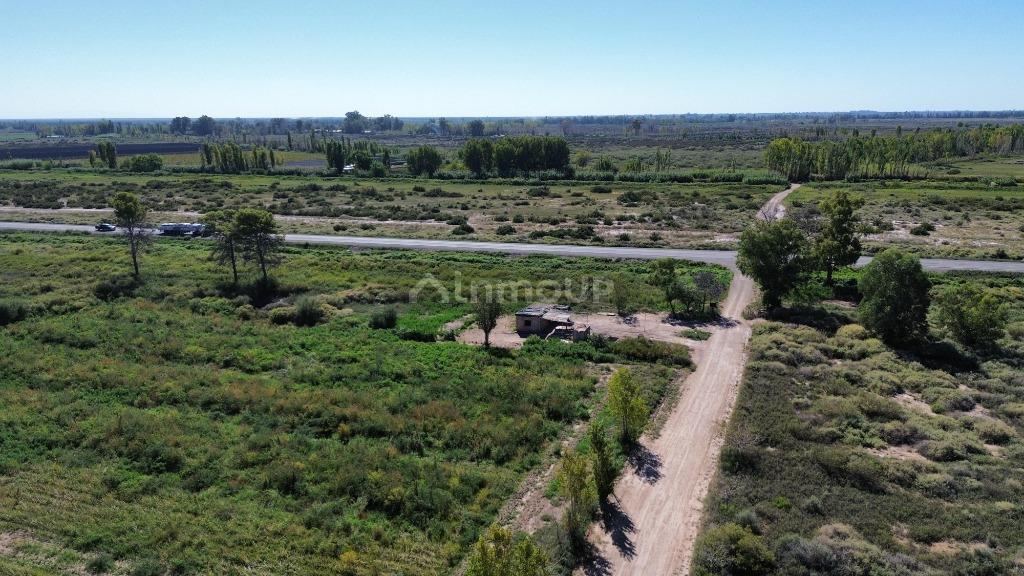 Finca en Venta en Lavalle, Mendoza