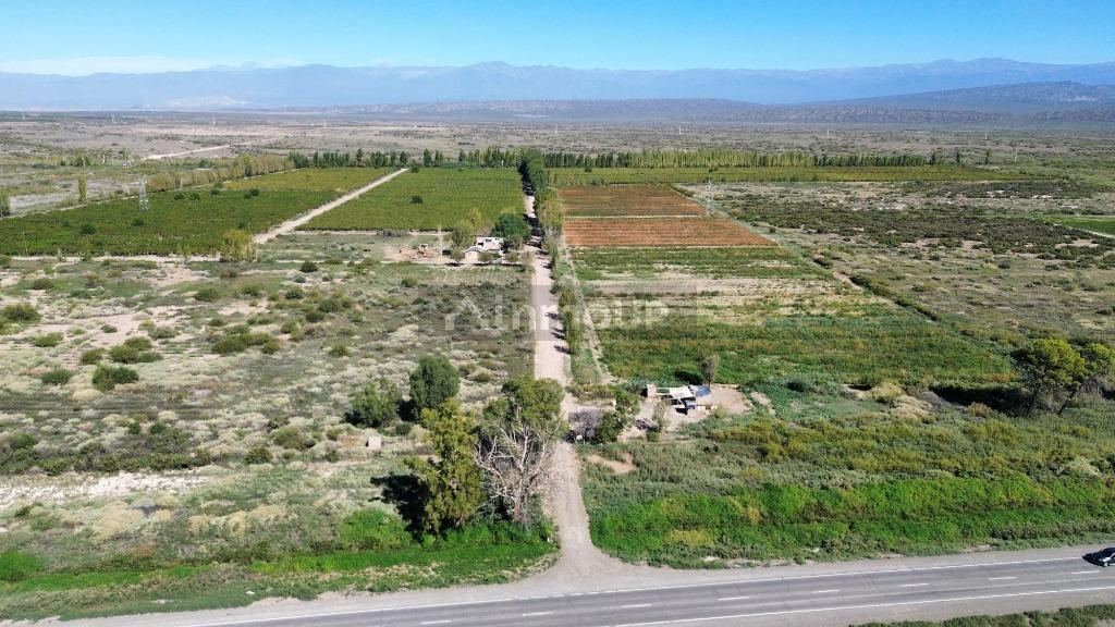 Finca en Venta en Lavalle, Mendoza