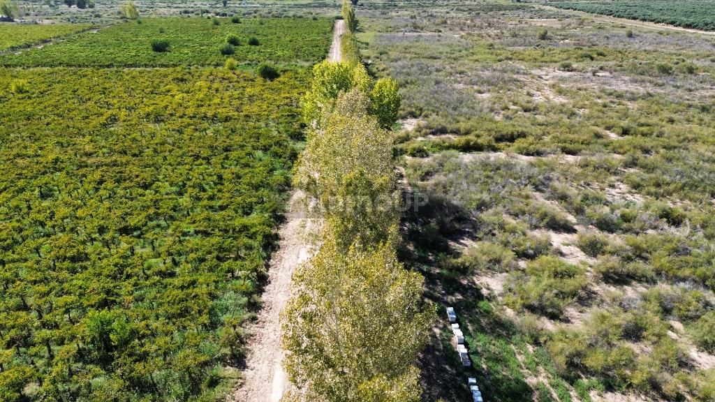 Finca en Venta en Lavalle, Mendoza