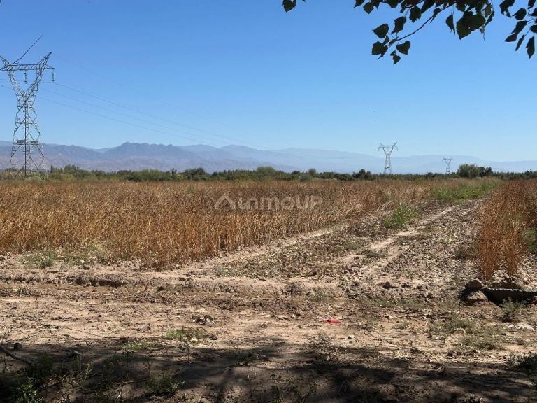 Finca en Venta en Lavalle, Mendoza