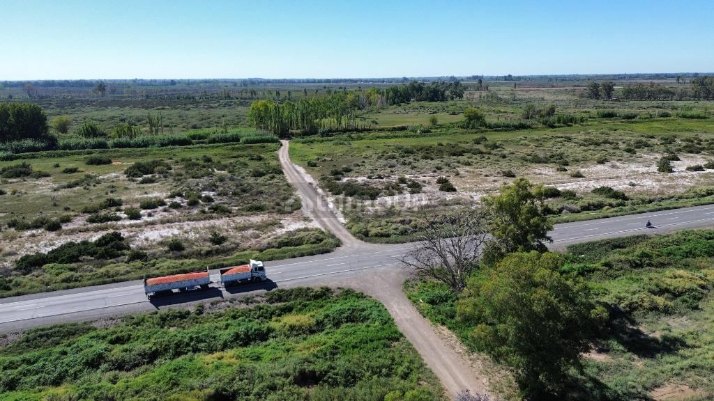 Finca en Venta en Lavalle, Mendoza