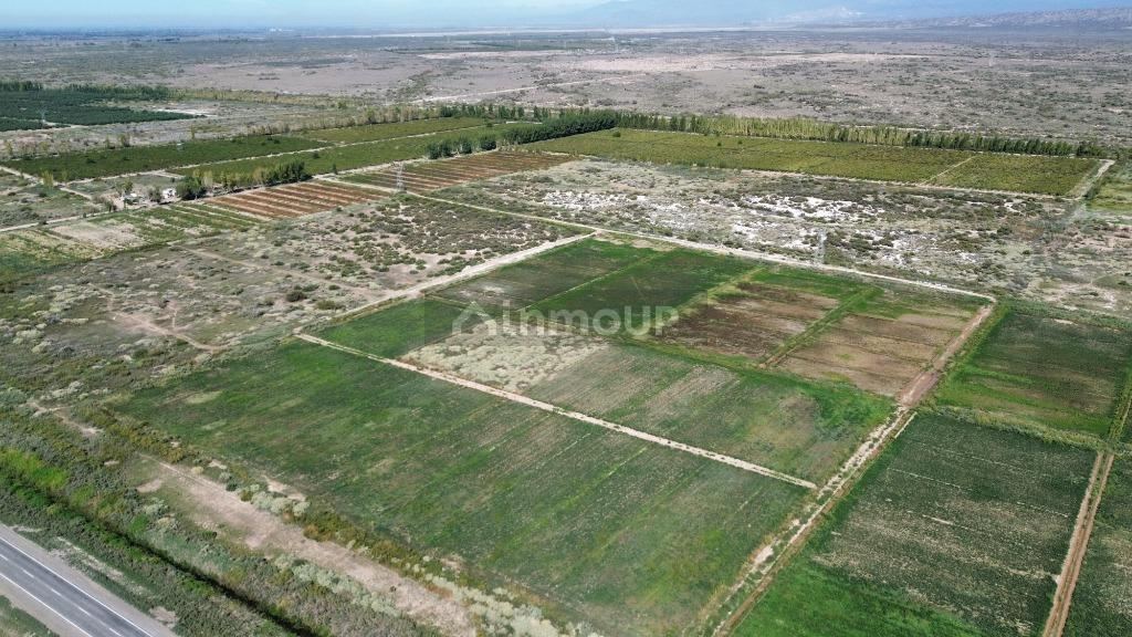 Finca en Venta en Lavalle, Mendoza