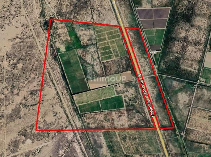 Finca en Venta en Lavalle, Mendoza