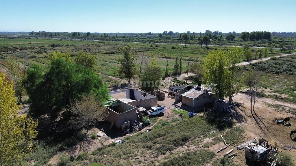 Finca en Venta en Lavalle, Mendoza