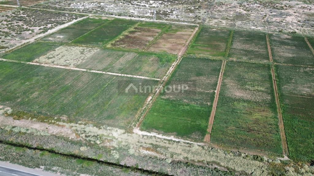 Finca en Venta en Lavalle, Mendoza