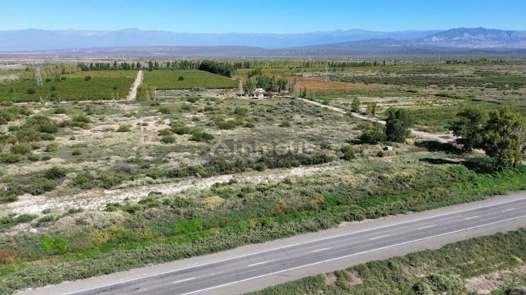 Finca en Venta en Lavalle, Mendoza