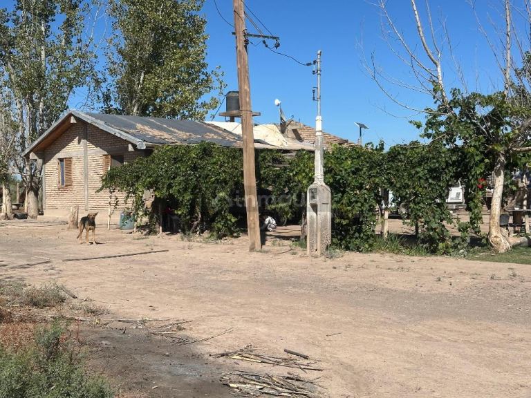 Finca en Venta en Lavalle, Mendoza