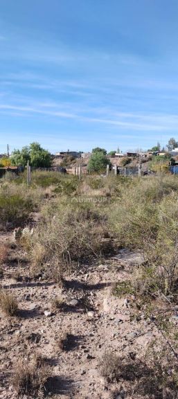 Lote en Venta en Lujan de Cuyo, Mendoza