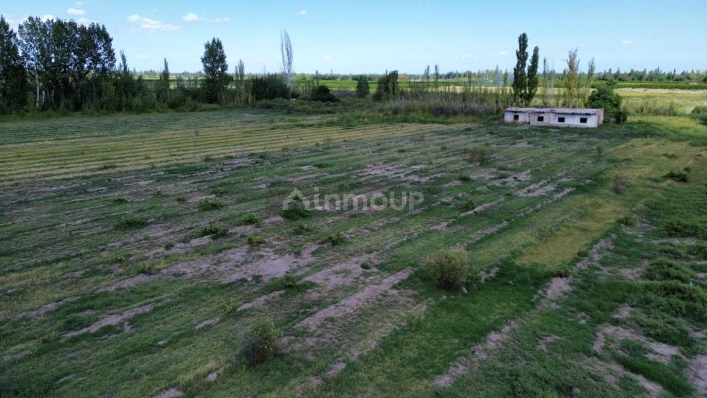 Finca en Venta en Junin, Mendoza