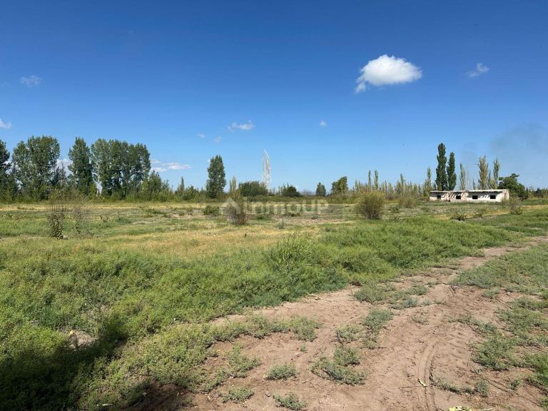 Finca en Venta en Junin, Mendoza