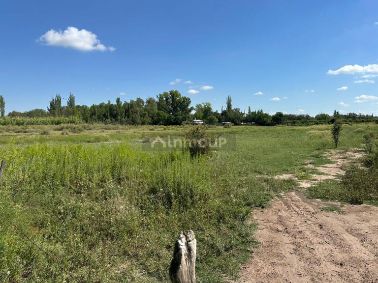 Finca en Venta en Junin, Mendoza
