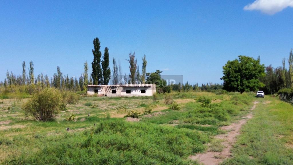 Finca en Venta en Junin, Mendoza