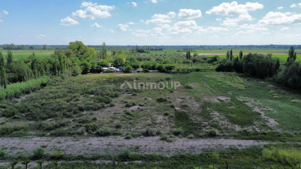 Finca en Venta en Junin, Mendoza