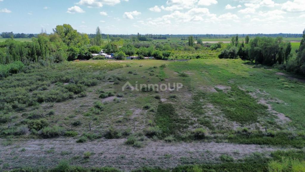 Finca en Venta en Junin, Mendoza