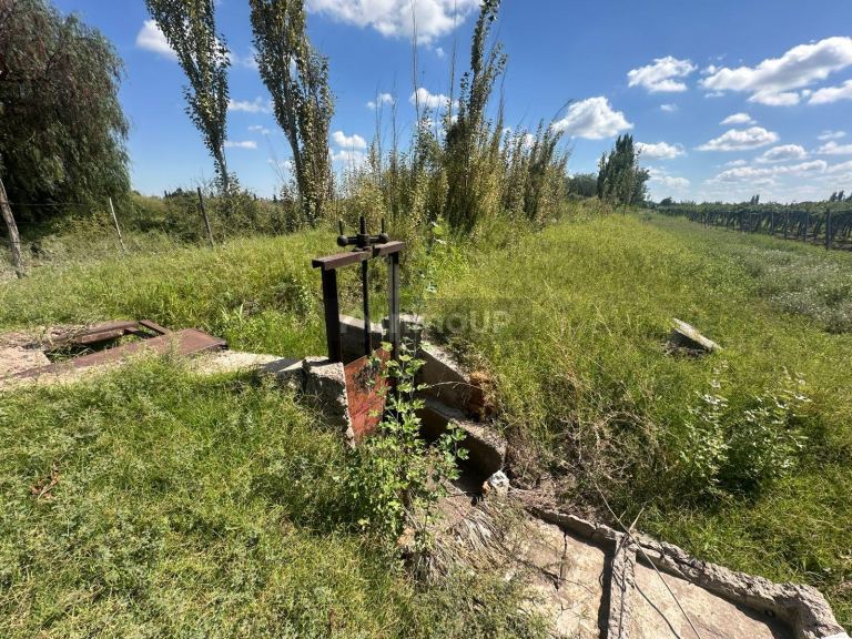 Finca en Venta en Junin, Mendoza