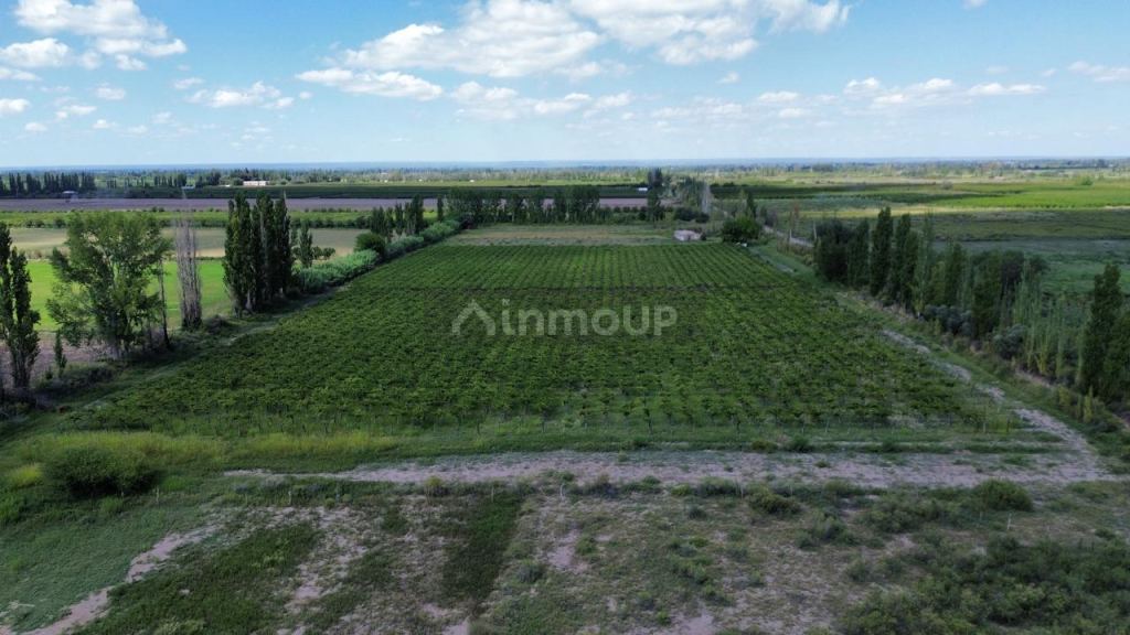 Finca en Venta en Junin, Mendoza