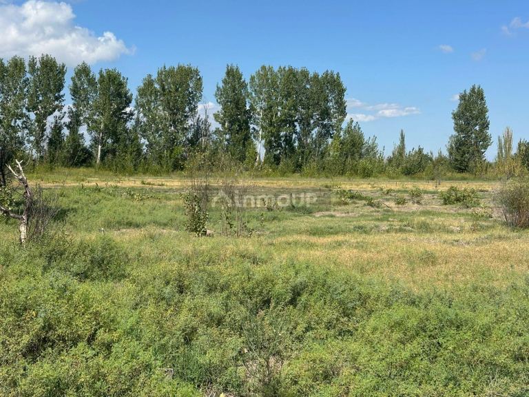 Finca en Venta en Junin, Mendoza