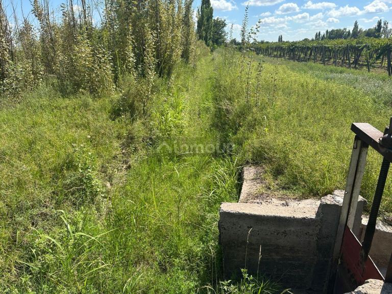 Finca en Venta en Junin, Mendoza