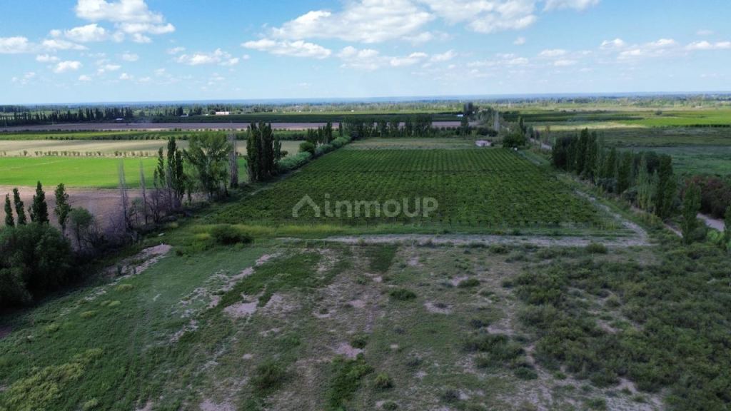 Finca en Venta en Junin, Mendoza