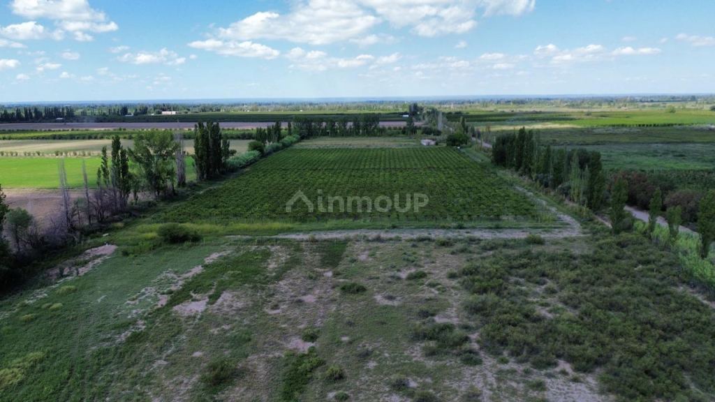 Finca en Venta en Junin, Mendoza