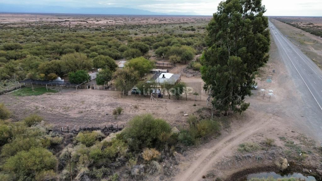 Campo en Venta en Lavalle, Mendoza