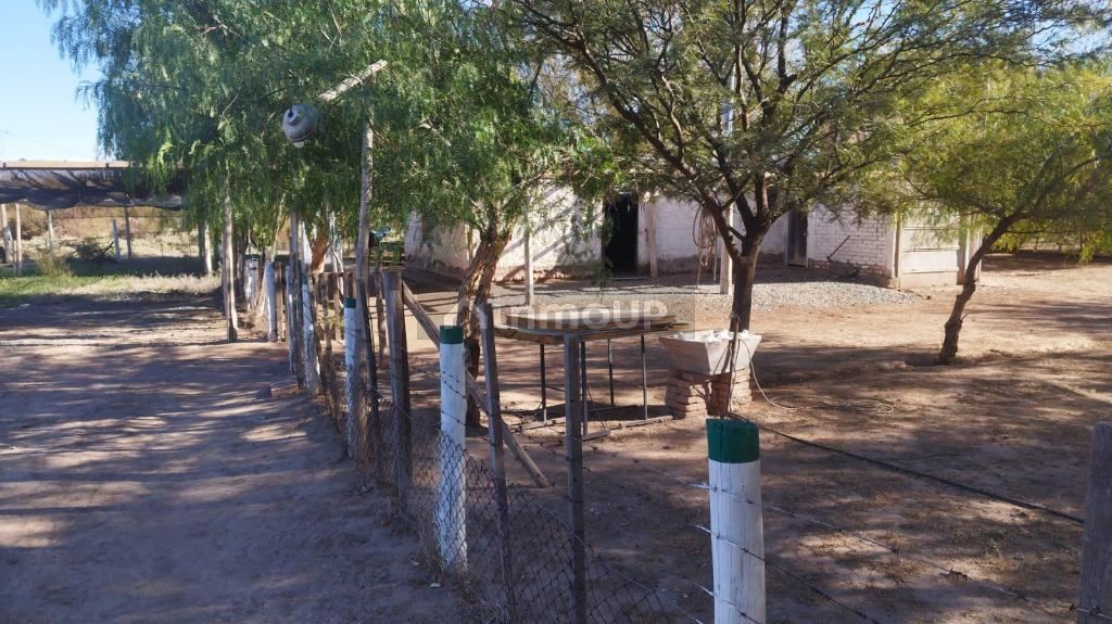 Campo en Venta en Lavalle, Mendoza