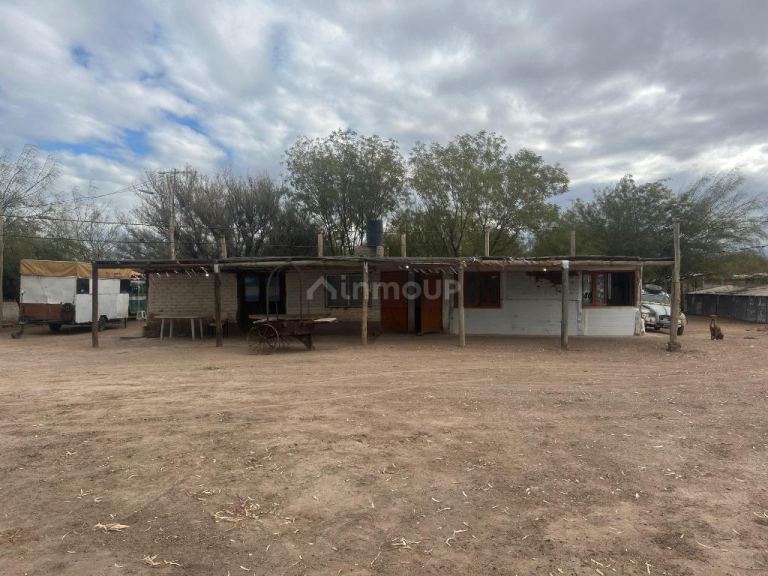 Campo en Venta en Lavalle, Mendoza