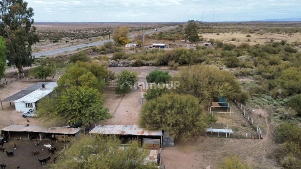 Campo en Venta en Lavalle, Mendoza