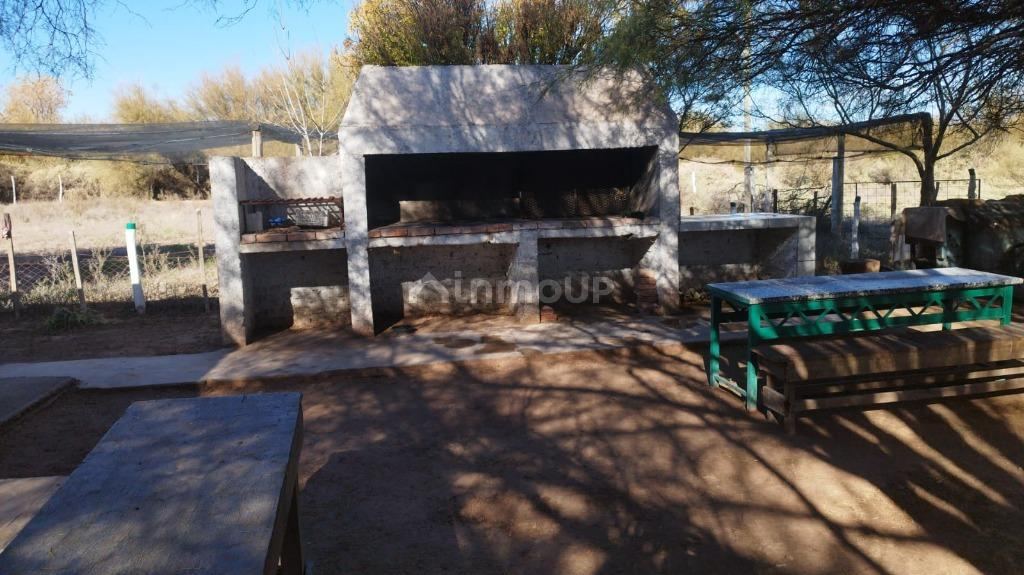 Campo en Venta en Lavalle, Mendoza