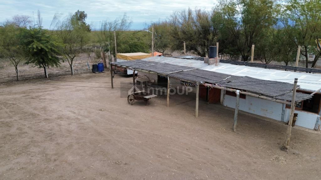 Campo en Venta en Lavalle, Mendoza