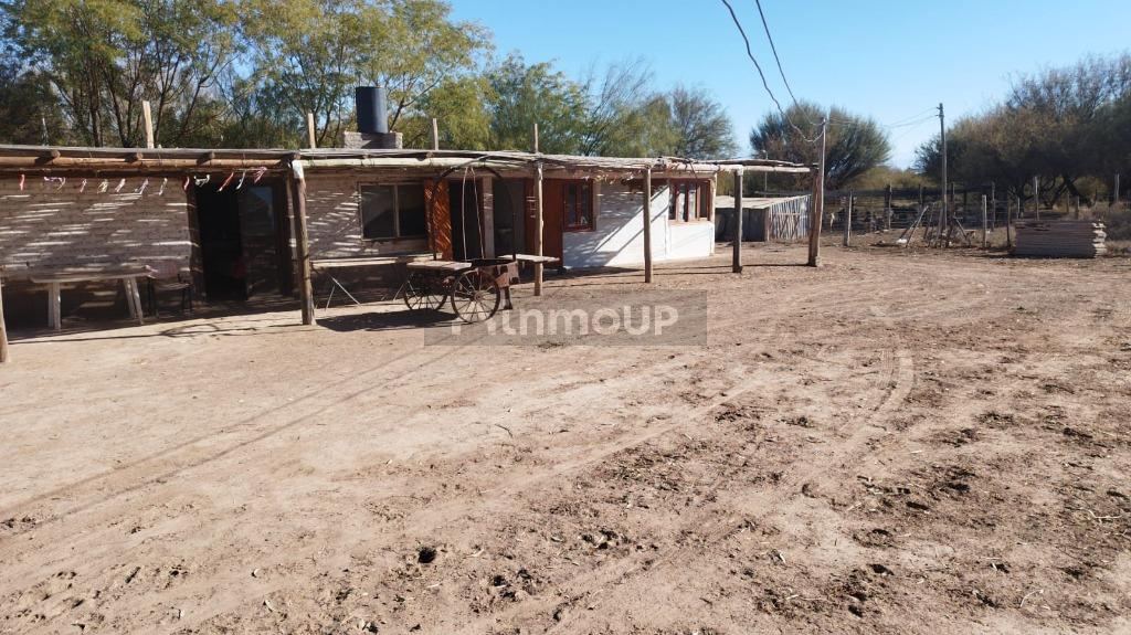 Campo en Venta en Lavalle, Mendoza
