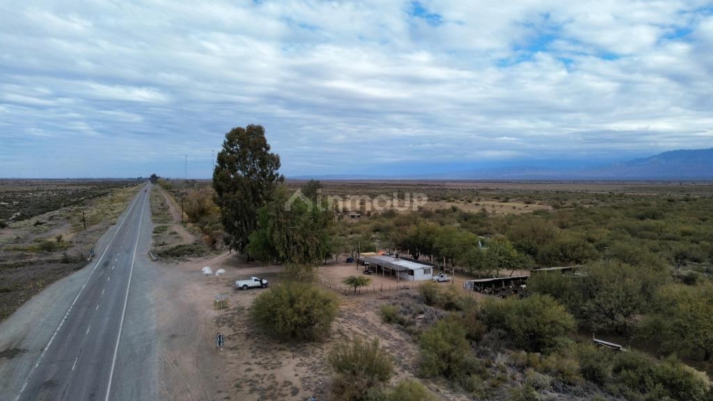 Campo en Venta en Lavalle, Mendoza