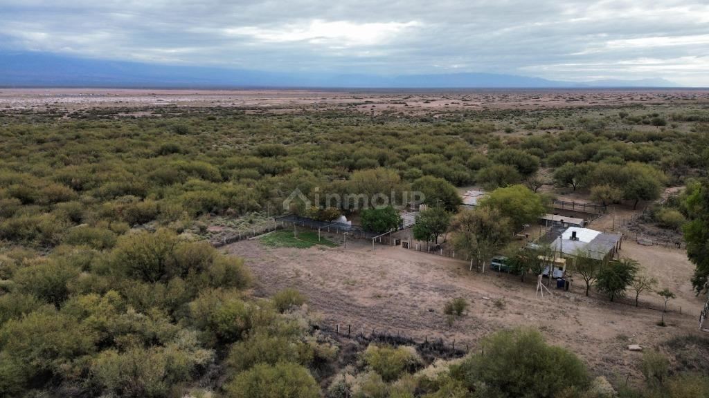 Campo en Venta en Lavalle, Mendoza