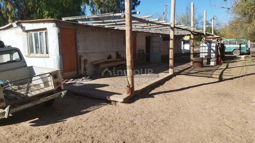 Campo en Venta en Lavalle, Mendoza