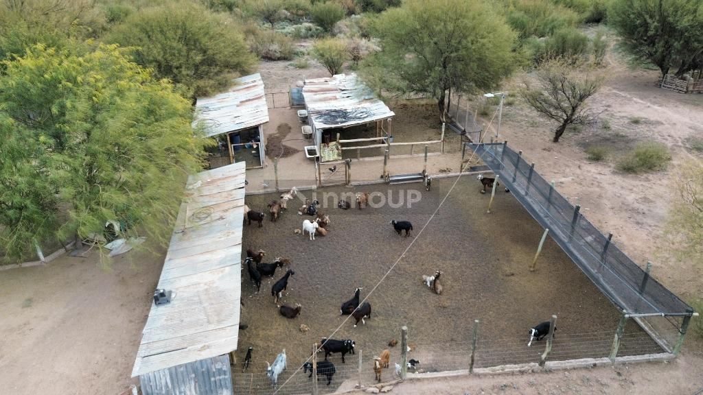 Campo en Venta en Lavalle, Mendoza