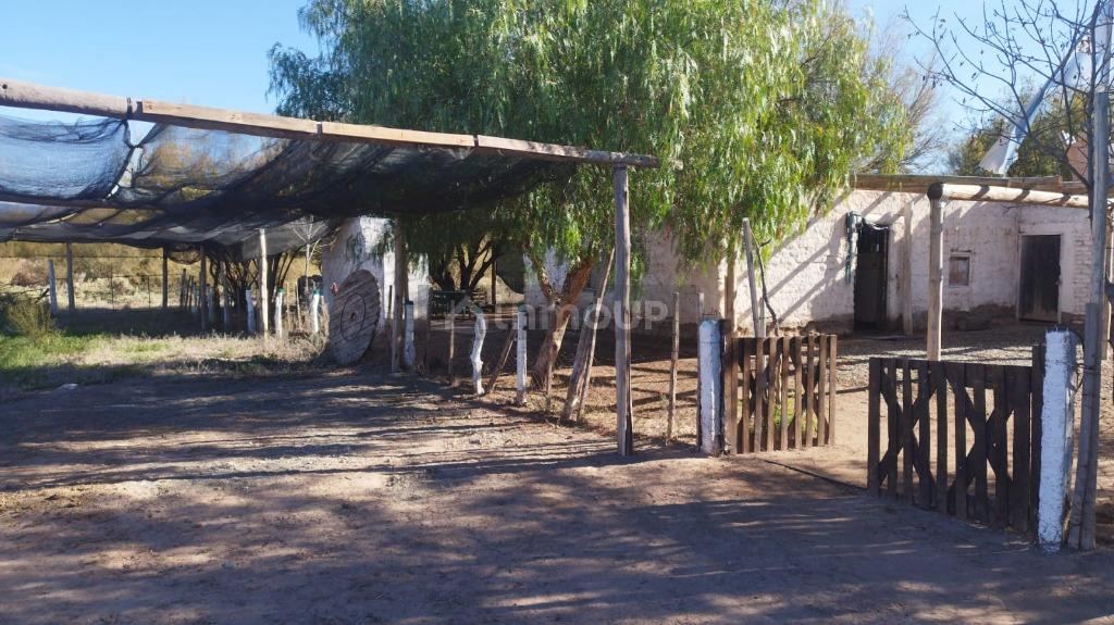 Campo en Venta en Lavalle, Mendoza