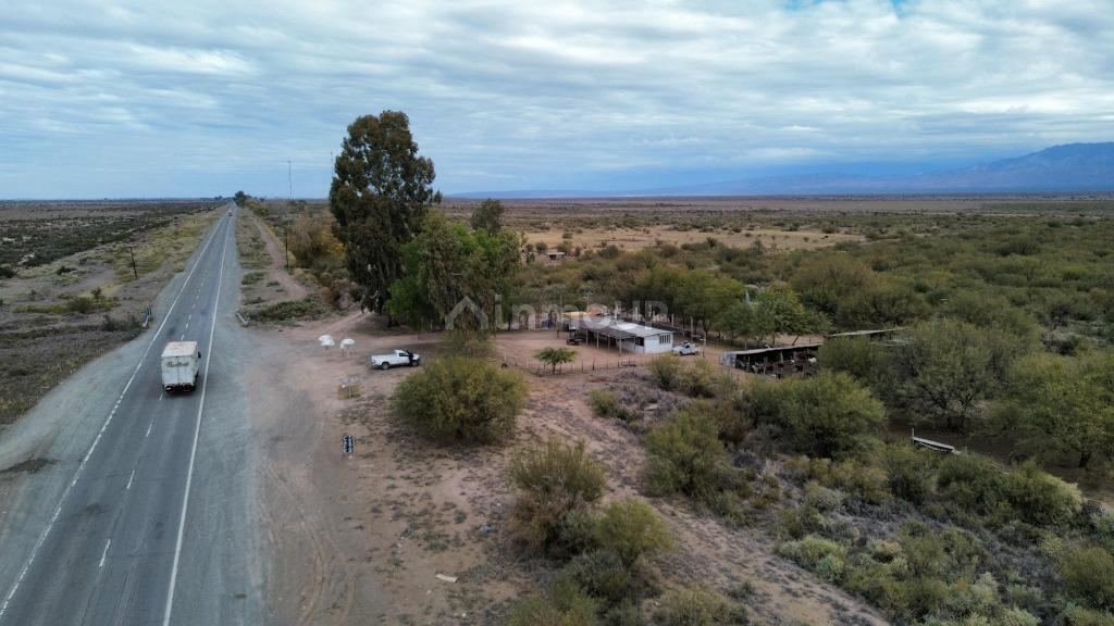 Campo en Venta en Lavalle, Mendoza