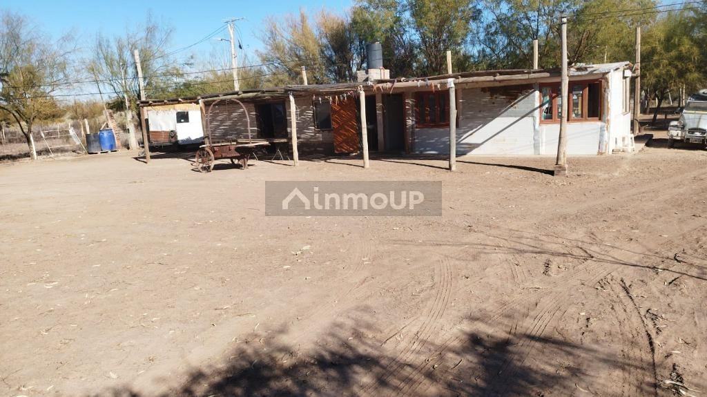 Campo en Venta en Lavalle, Mendoza