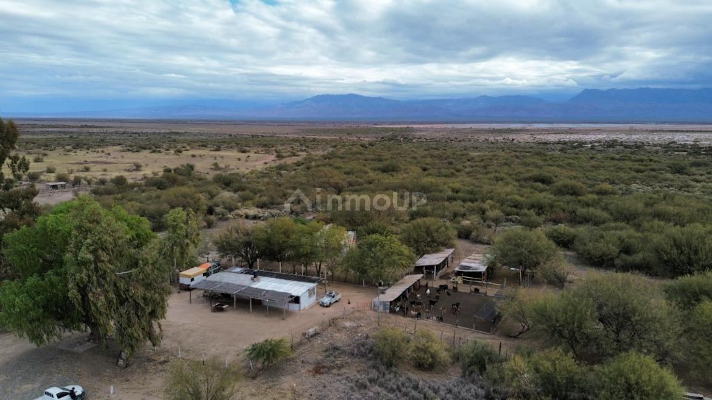 Campo en Venta en Lavalle, Mendoza