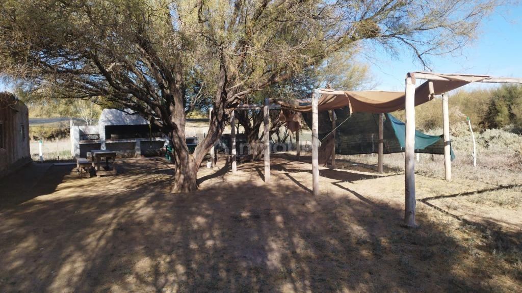Campo en Venta en Lavalle, Mendoza