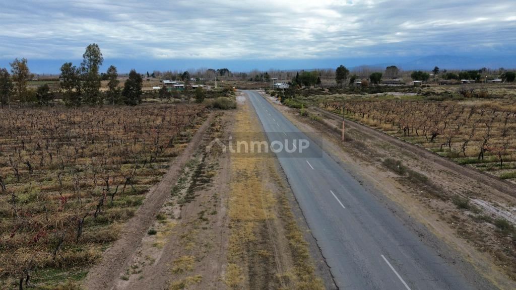 Finca en Venta en Lavalle, Mendoza