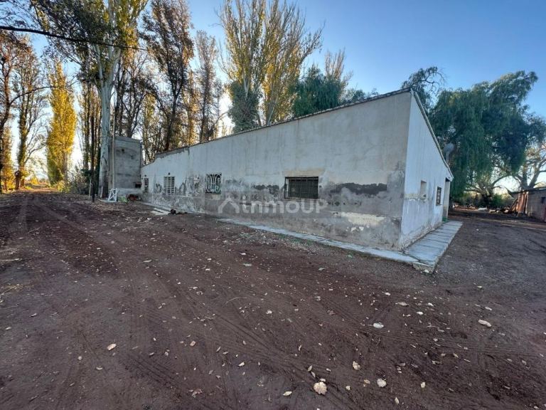 Finca en Venta en Lavalle, Mendoza