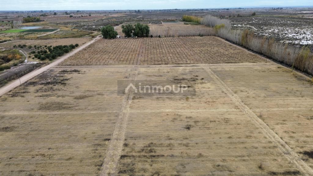 Finca en Venta en Lavalle, Mendoza