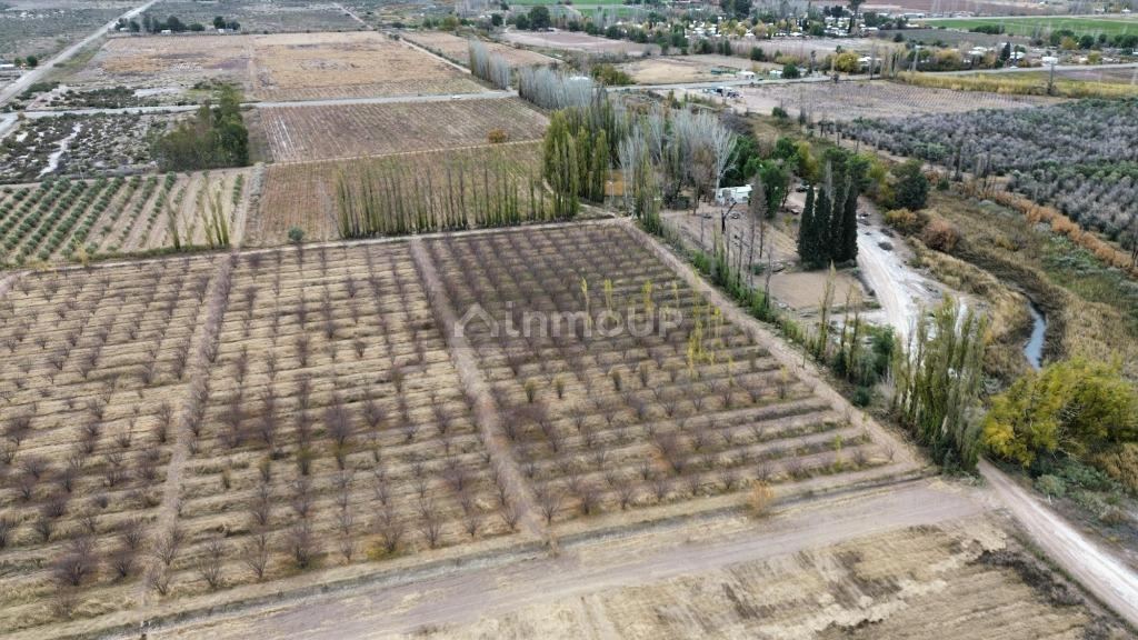 Finca en Venta en Lavalle, Mendoza