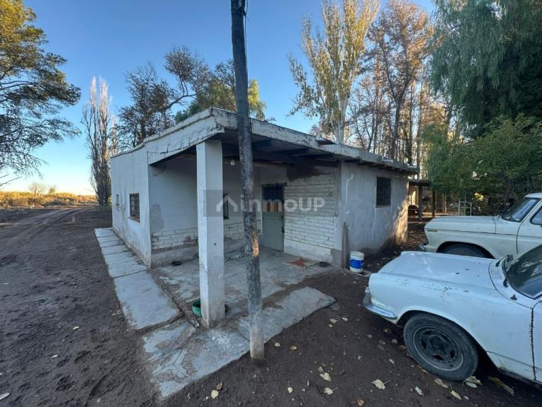 Finca en Venta en Lavalle, Mendoza