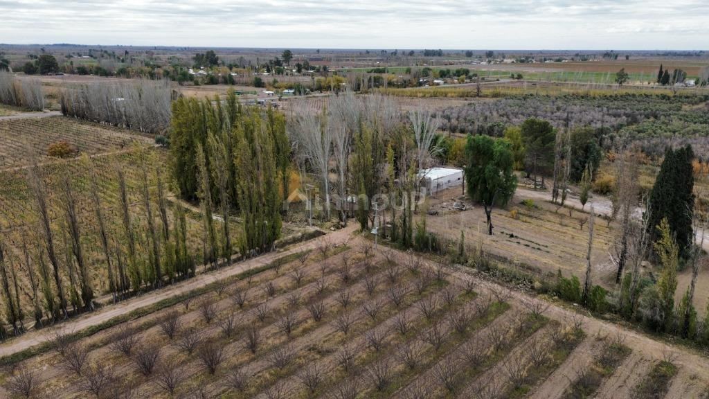 Finca en Venta en Lavalle, Mendoza
