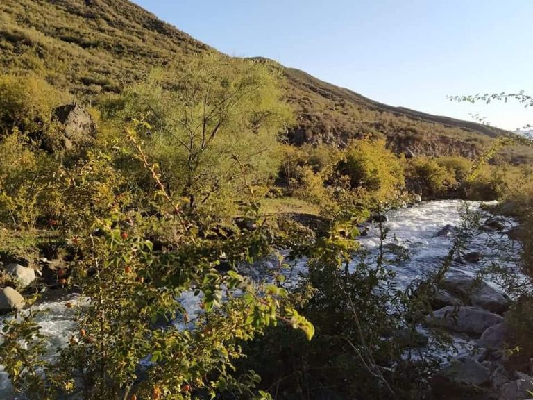Lote en Venta en Lujan de Cuyo, Mendoza