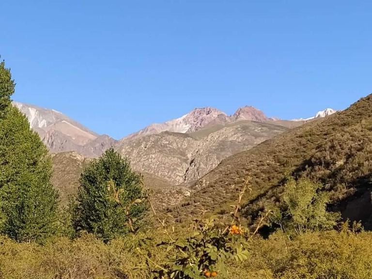 Lote en Venta en Lujan de Cuyo, Mendoza