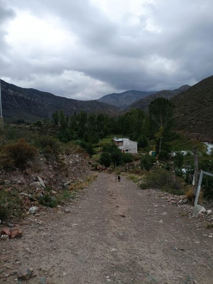 Lote en Venta en Lujan de Cuyo, Mendoza